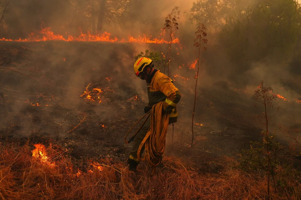 Los científicos dicen que el cambio climático hizo los incendios en España y Francia mucho más probables.