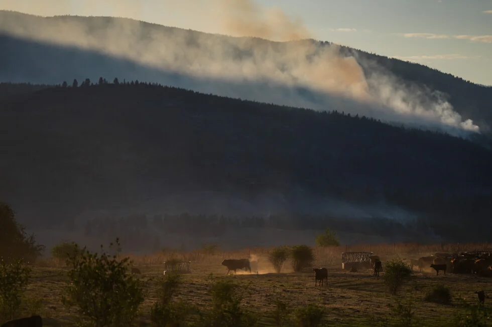 Los funcionarios dicen que el fuego destruye unas 230 casas en una ciudad indígena de Canadá.